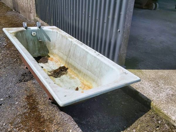 Cast iron bath. All it needs is a clean.