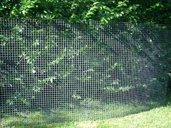 8 x 4 ft  galvanized welded mesh