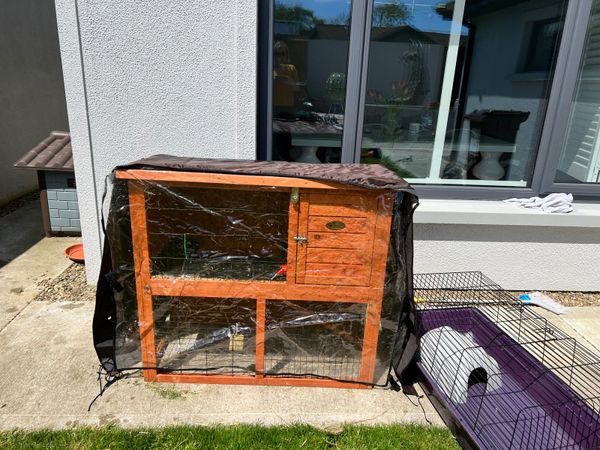 Rabbit hutch and cage.