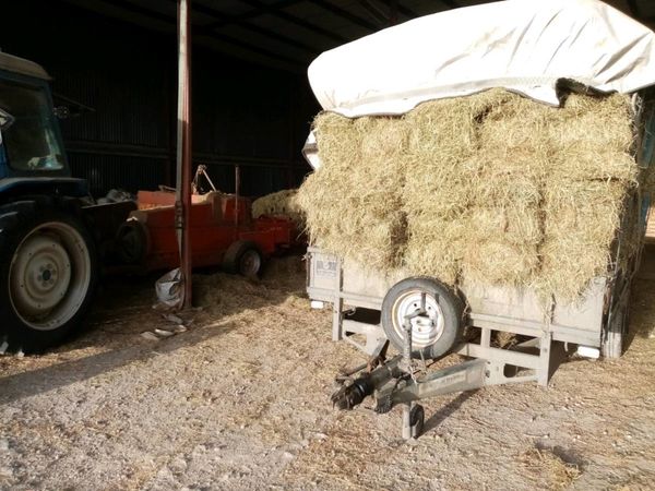 2022 hay, also seasoned hay for horses