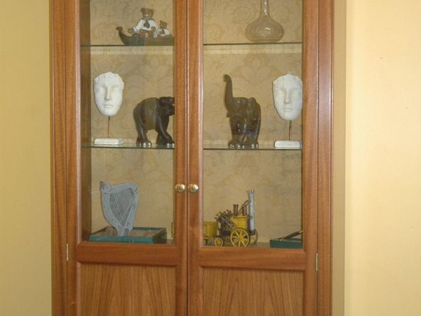 Mahogany Display Cabinet