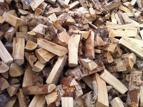 Firewood *ASH* best time to stock up