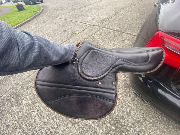 Brand New Exercise Saddle & Microchipped