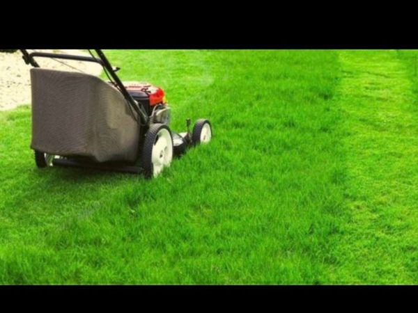 Grass cutting service