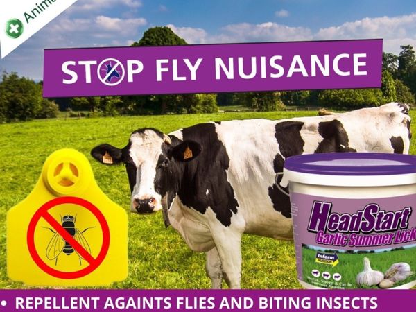Summer Fly Control
