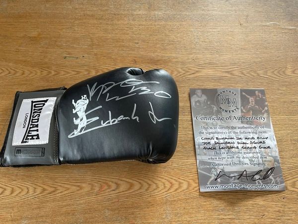 Boxing Glove(signed)