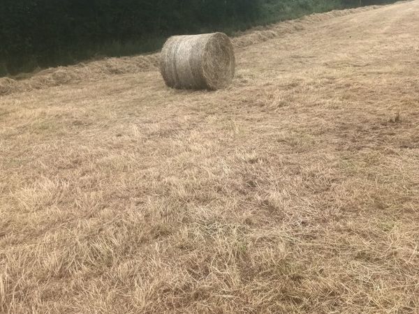 Round bale's of hay