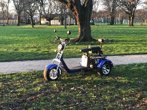 Street legal electric trike/ Adaptable for Golf