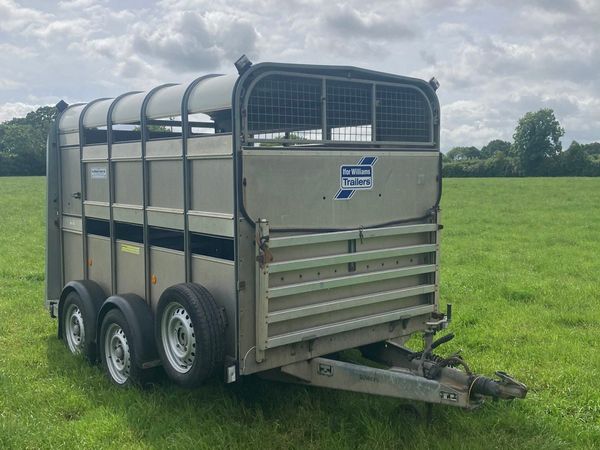 🤩ifor Williams with sheep decks 🤩