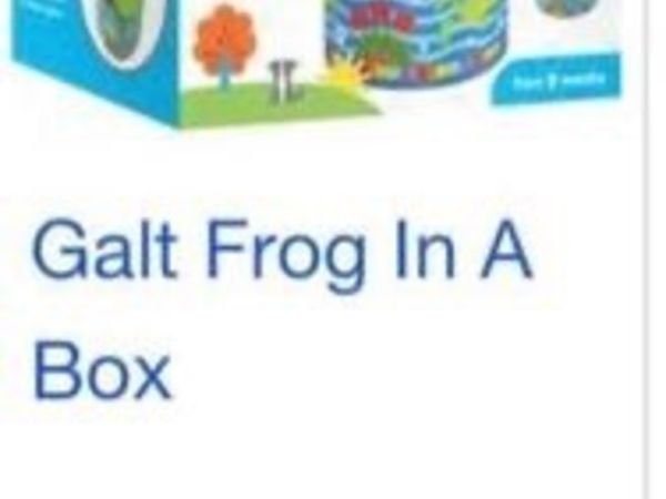 Galt frog in a box toy