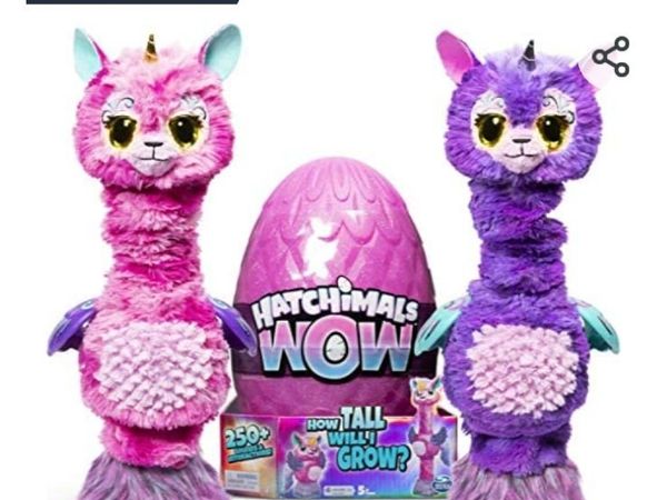 Hatchimal WOW - as new