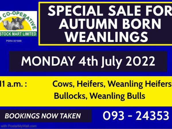 Tuam Mart - Special Weanling Sale Monday 4th July