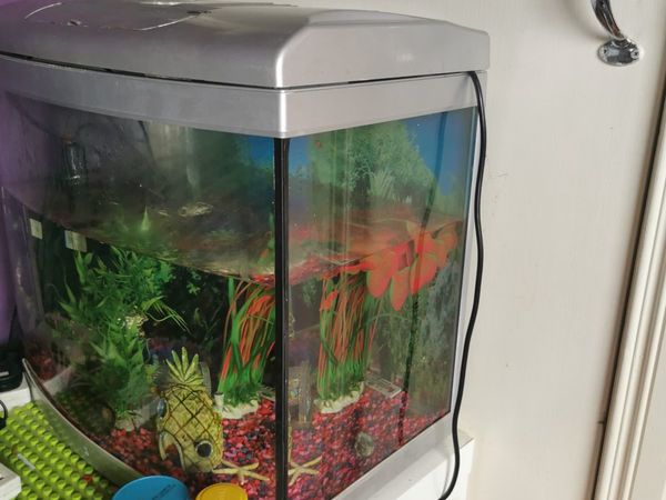 Aquarium fish tank full