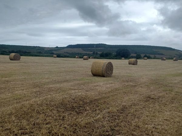 Organic bales of hay
