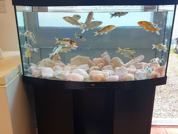 Jewel Fish Tank