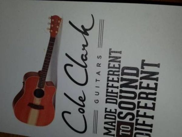 Cole Clark guitar