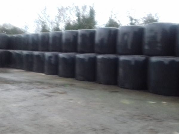 Haylage and silage