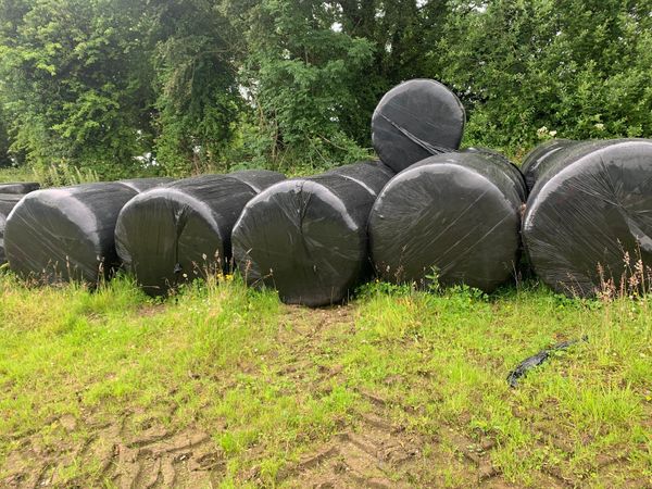 Haylage/dry silage free to take away