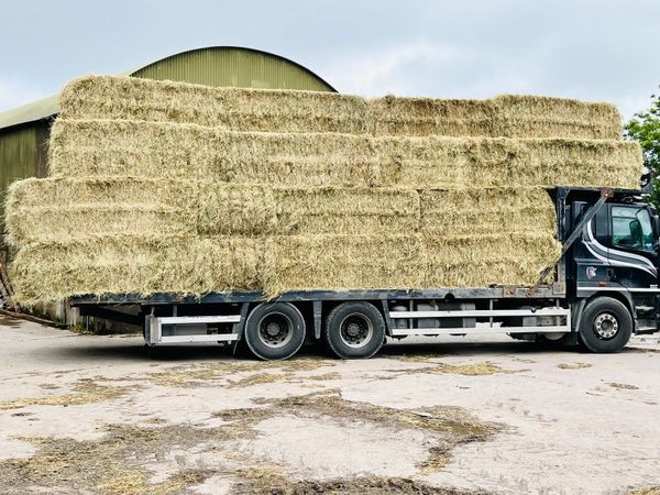 1000  Large Square & Round Bales of  Hay