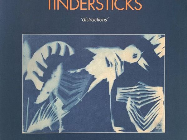 Tindersticks - Distractions (LP, Album)