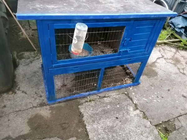 Rabbits with or without hutch or indoor cage