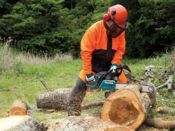 Affordable Ground Based Chainsaw Operator