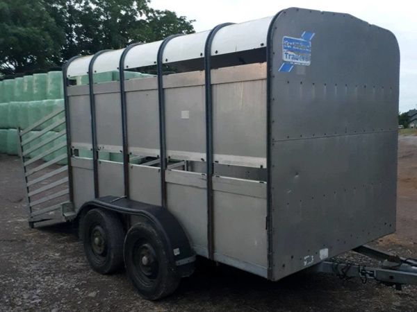 Ifor Williams 10ft x 5ft 10' cattle trailer