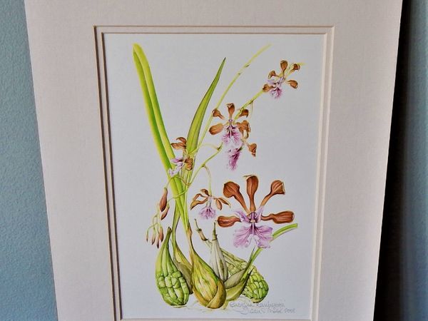 Signed painting of orchid