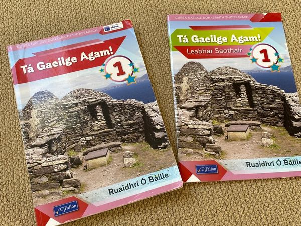 Ta Gaeilge Agam! 1 with Workbook