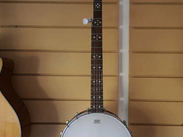Fender 5 String Banjo