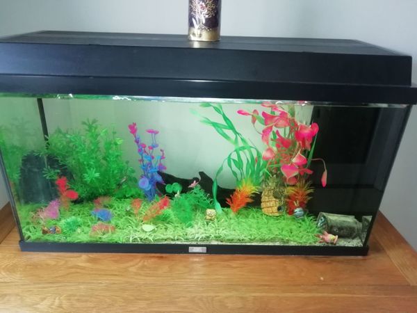 Fish tank 96 litres