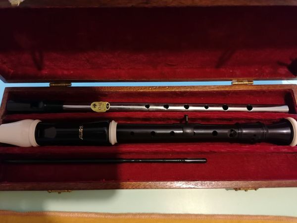 Recorder and Tin whistle