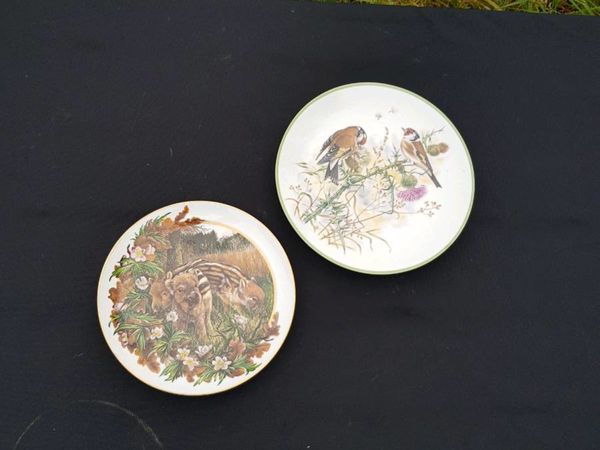 2 china display plates