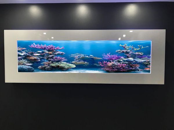 1000 litre fish outlet tank