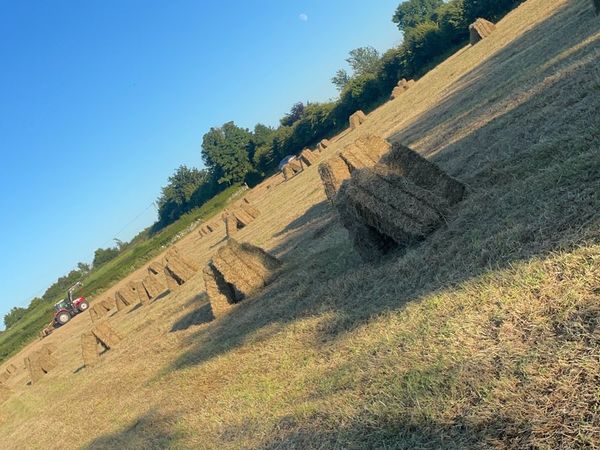 hay square bales