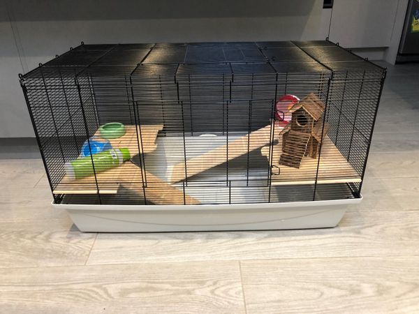 Hamster enclosure and various accessories