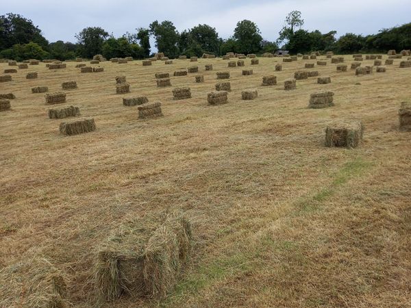 Small square hay bales