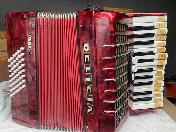 Delicia junior accordion
