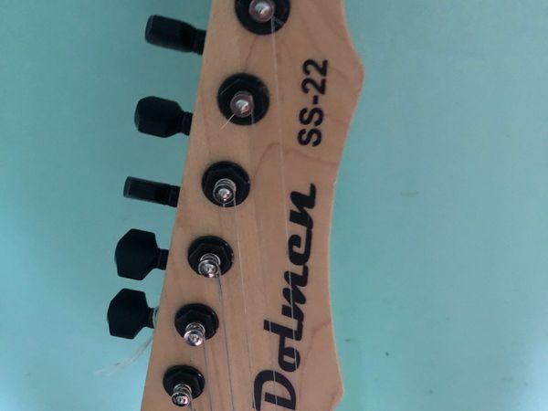Dolmer custom Guitar trade in taken