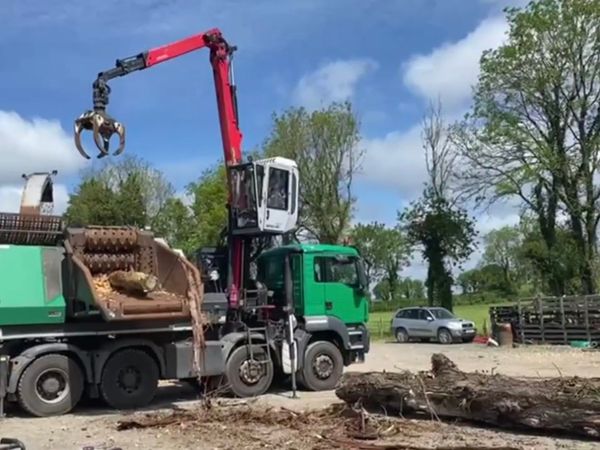 Tree removal & site clearance