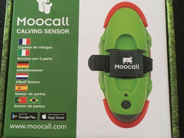 Moocall calving sensor