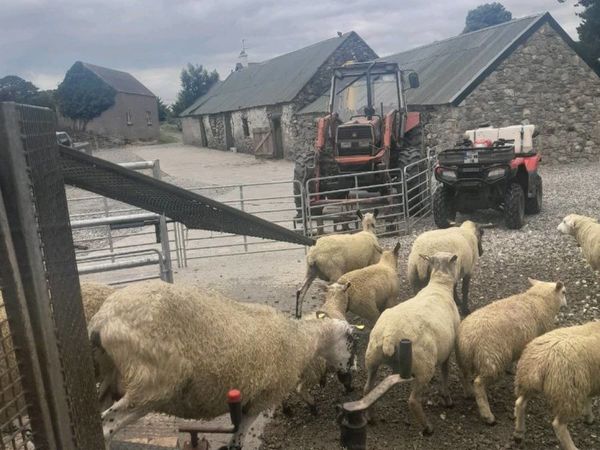 Mobile sheep dipping