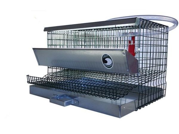 Cage for quails with LED lighting NEW