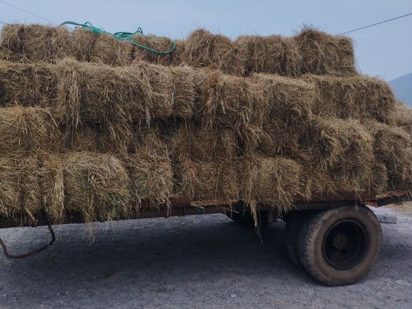 Organic Hay for sale in West Kerry