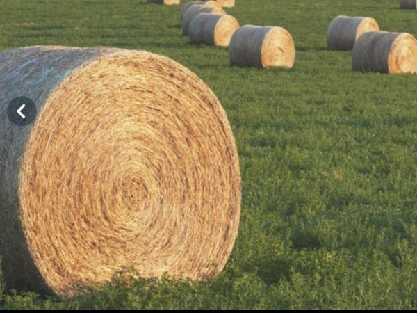 Hay Bales 1 061 All Sections Ads For Sale In Ireland Donedeal