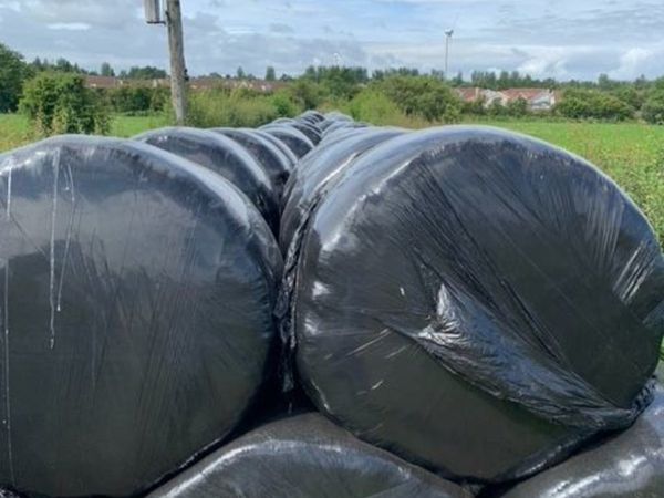 Quality Round Bale Silage Coleraine