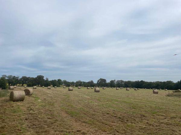 Hay Bales For Sale In Meath For 30 On Donedeal