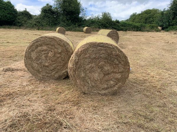 Hay Bales 1 061 All Sections Ads For Sale In Ireland Donedeal