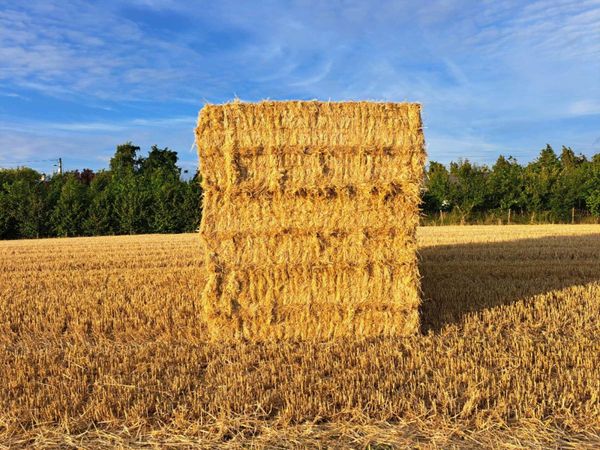Barley and wheaten straw 8x4x3