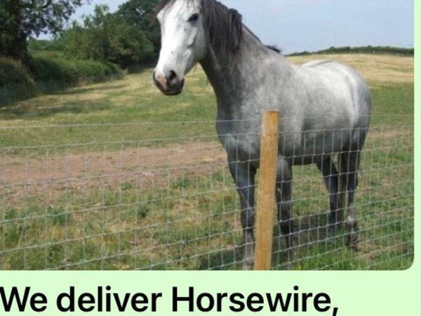 DISCOUNT HORSEWIRE..Irish Buyers pay No Vat..save